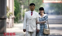 父母爱情电视剧在线观看,重温经典，共度温馨时光