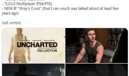 流浪者爆料潘妮视频,流浪者爆料背后的真相